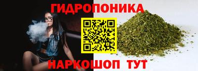 apvp Ливны