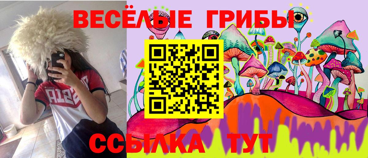 Галлюциногенные грибы Magic Shrooms  Псилоцибиновые грибы прущие грибы  Грязи  Вход с VPN 