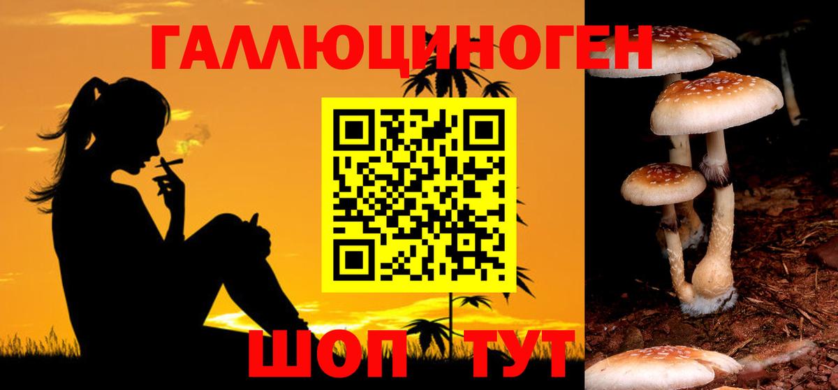 Галлюциногенные грибы прущие грибы Грязи